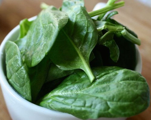 media.hotel-villa-tosi-spinaci