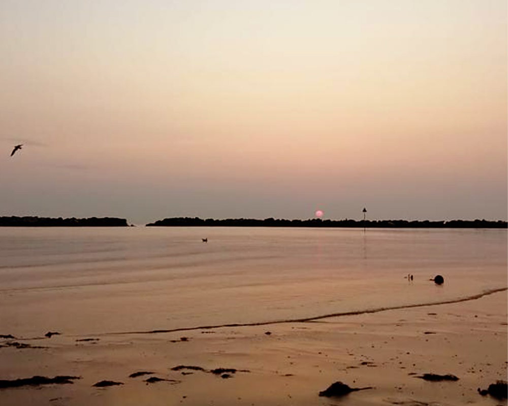 media.mare